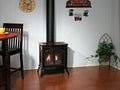 American Hearth Spirit Stoves Cast Iron Direct Vent Gas Stove