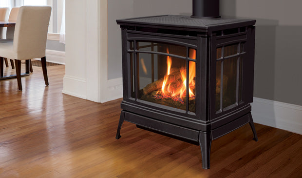 Enviro Berkeley Cast Iron Direct Vent Gas Stove