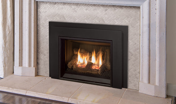 Enviro E20 Direct Vent Gas Insert