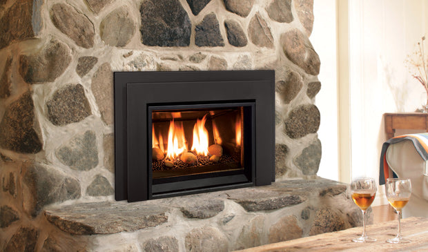 Enviro E20 Direct Vent Gas Insert
