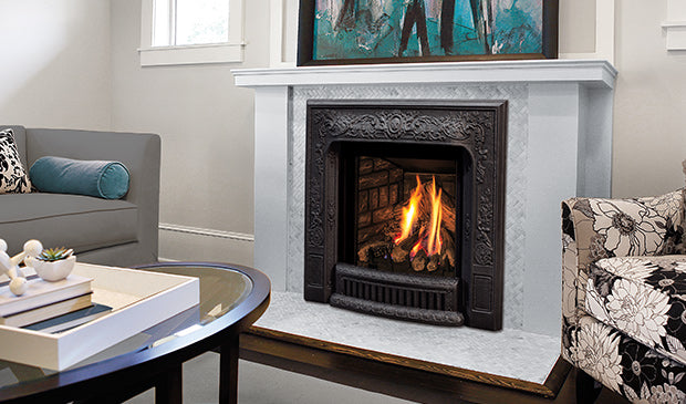 Enviro Q1 Direct Vent Gas Insert